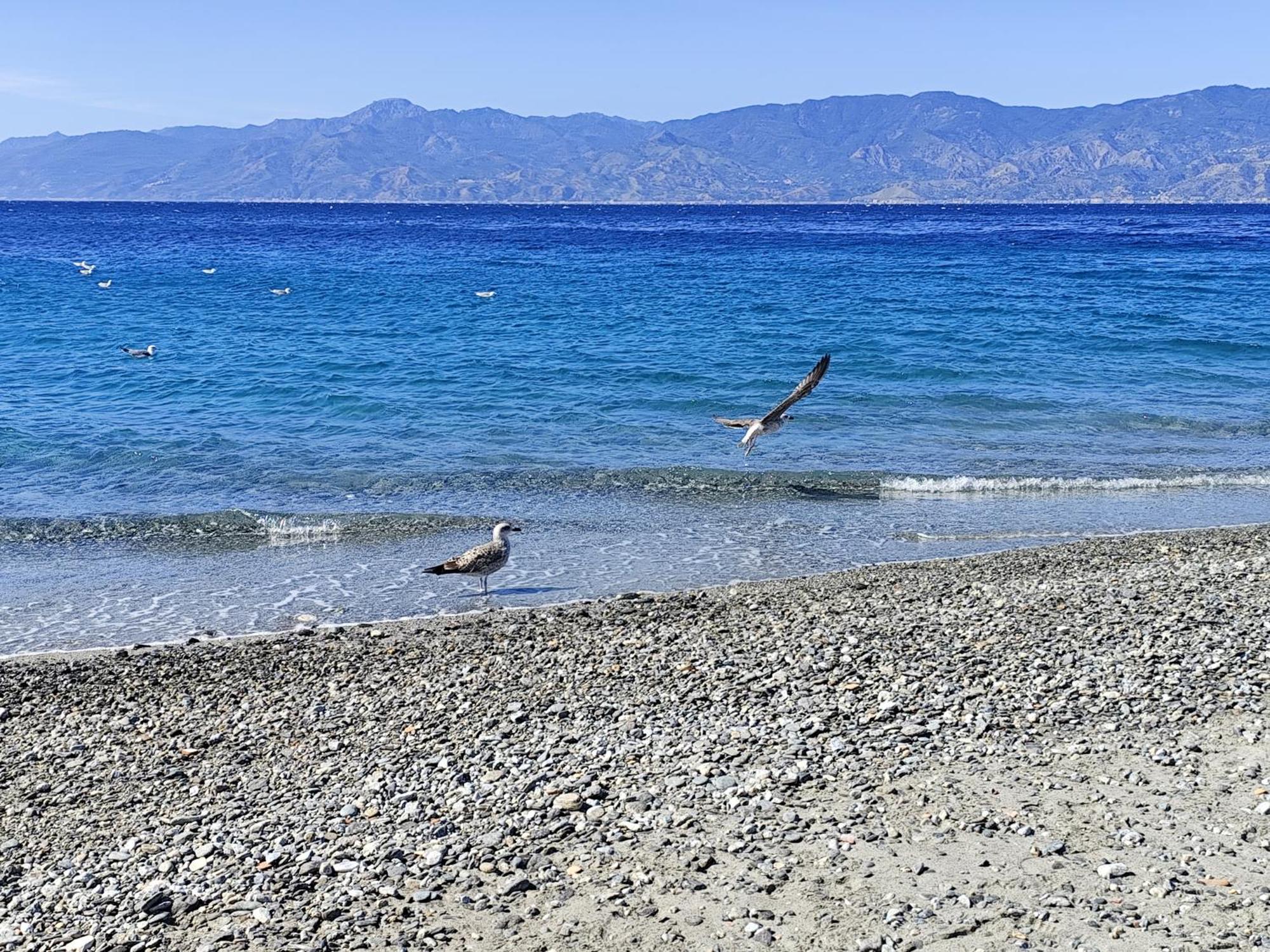Appartamento La Casa Sul Viale Reggio Calabria Esterno foto